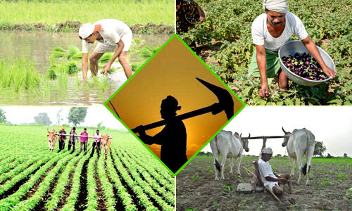 What does Paramparagat Krishi Vikas Yojana (PKVY) propose?