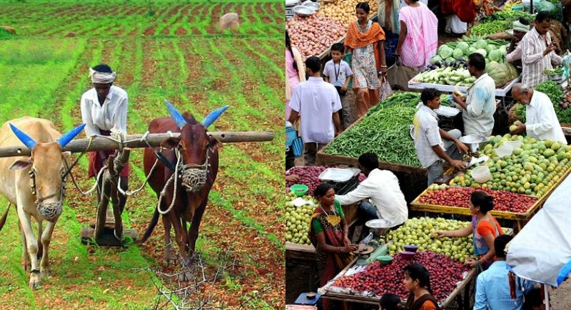 Pradhan Mantri Annadata Aay Sanrakshan Abhiyan (PM-AASHA)