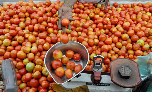 Why did tomatoes prices increase recently?