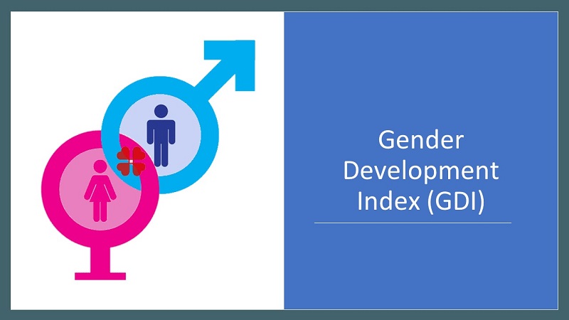 Gender Development Index (GDI)