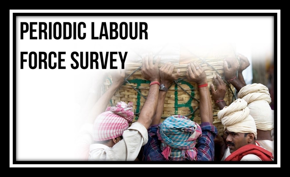 Periodic Labour Force Survey (PLFS)