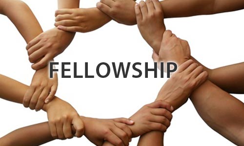 VAIBHAV Fellowship