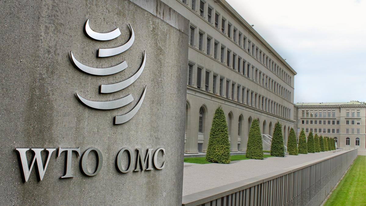 What is Special and Differential Treatment (SDT) under WTO?